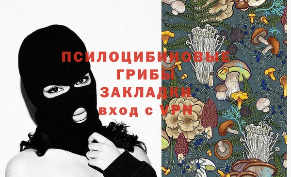 мдпв Вязьма